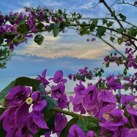 Appartement Du Aparments *